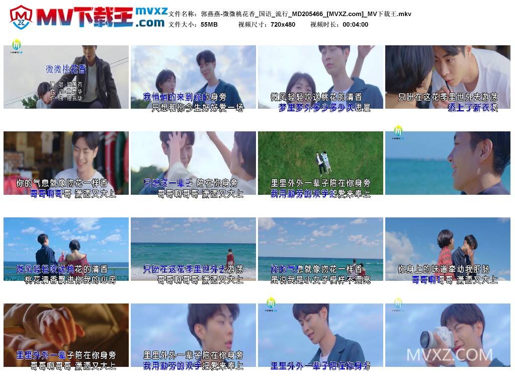 郭燕燕-微微桃花香_国语_流行_MD205466